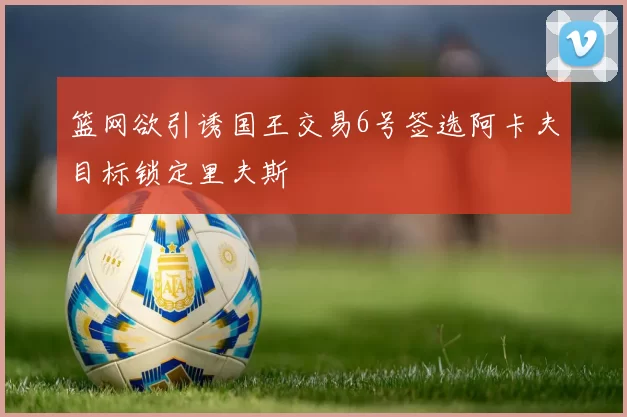 篮网欲引诱国王交易6号签选阿卡夫目标锁定里夫斯